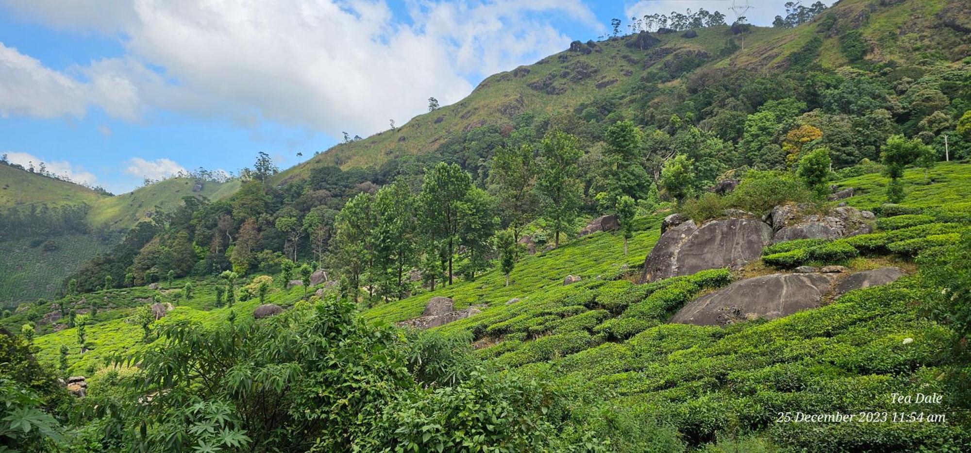 Tea Dale - All Rooms With Tea Estate View مونار المظهر الخارجي الصورة