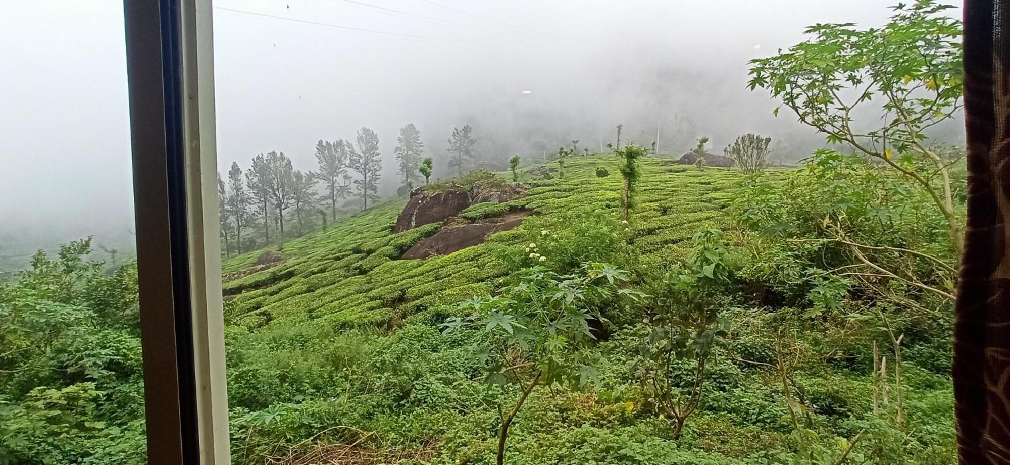 Tea Dale - All Rooms With Tea Estate View مونار المظهر الخارجي الصورة
