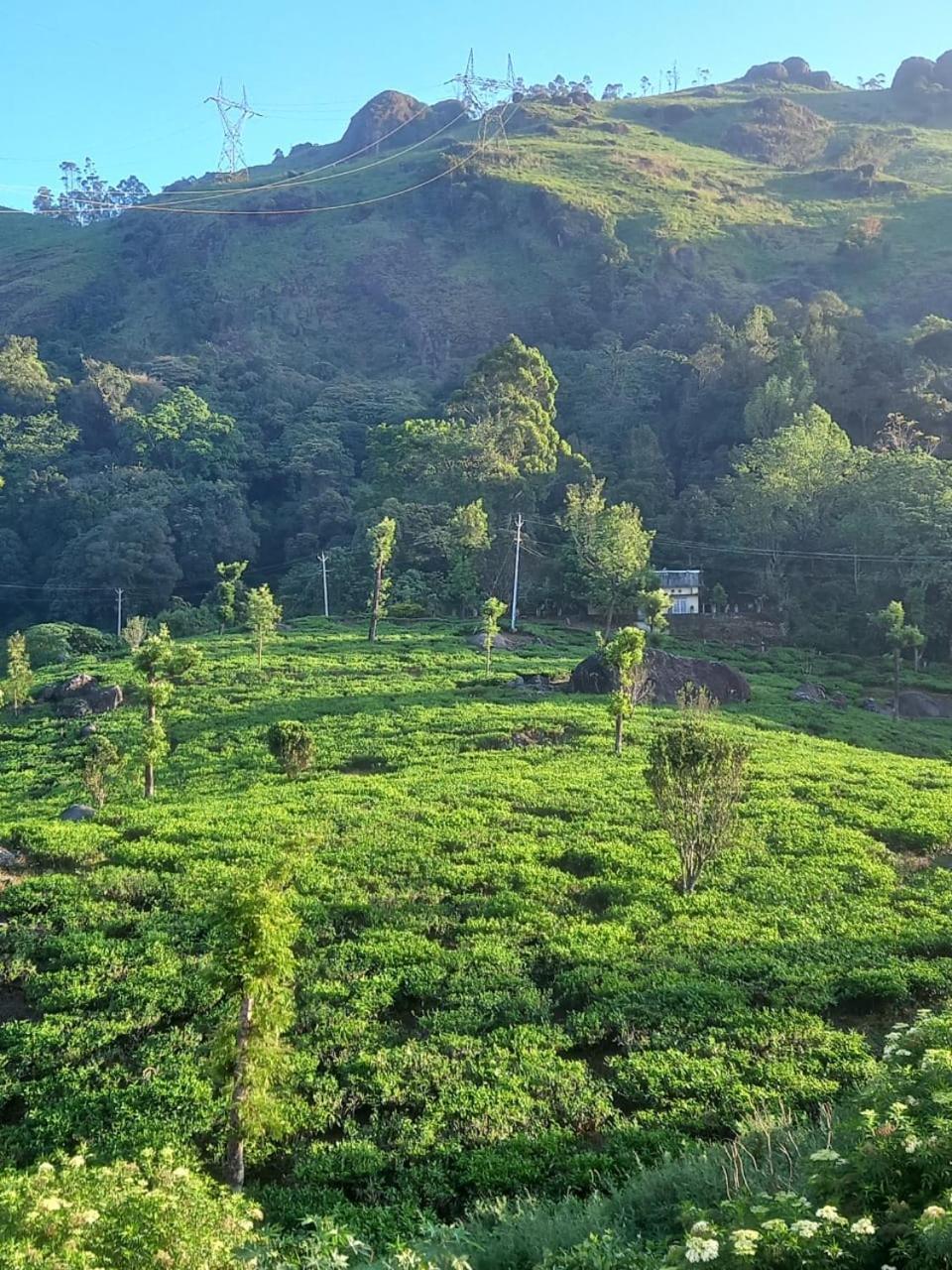 Tea Dale - All Rooms With Tea Estate View مونار الغرفة الصورة