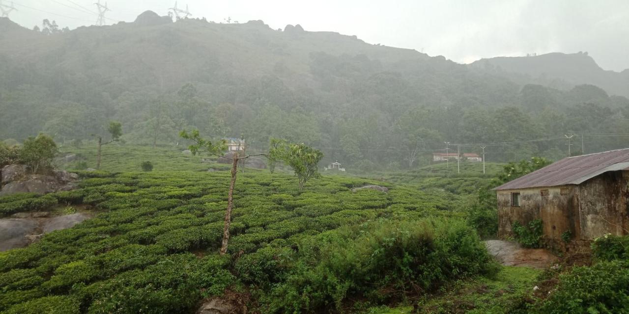 Tea Dale - All Rooms With Tea Estate View مونار المظهر الخارجي الصورة