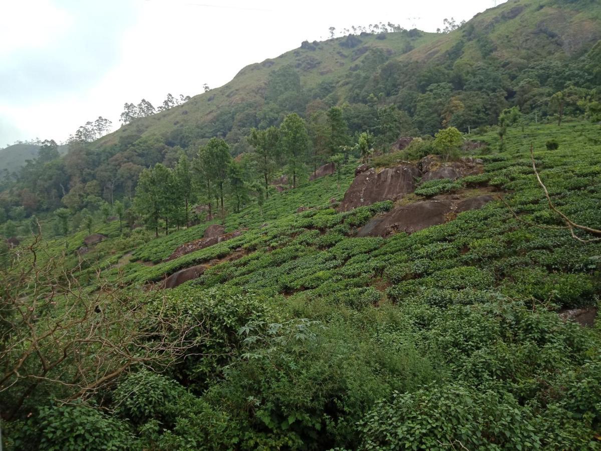 Tea Dale - All Rooms With Tea Estate View مونار المظهر الخارجي الصورة