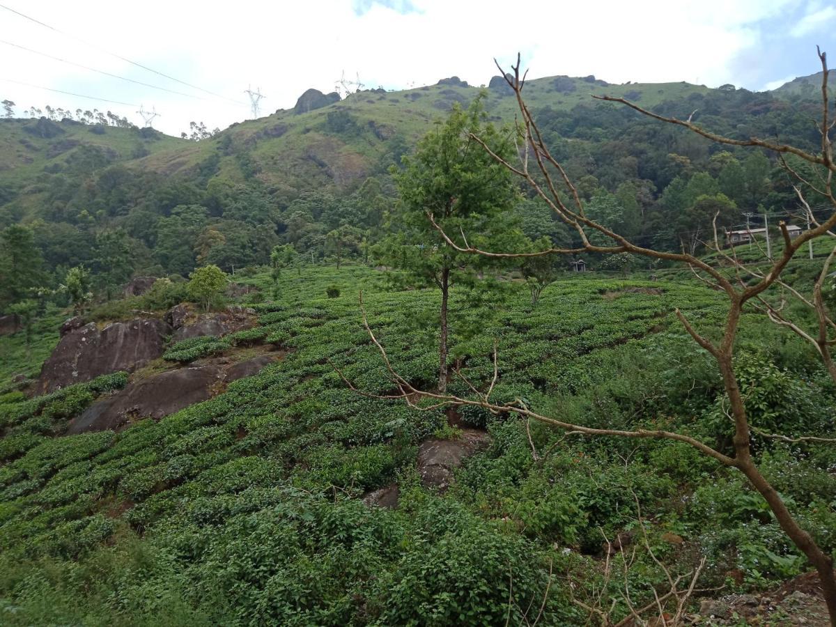 Tea Dale - All Rooms With Tea Estate View مونار المظهر الخارجي الصورة